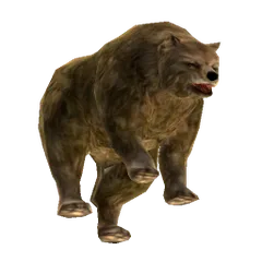 Ayı