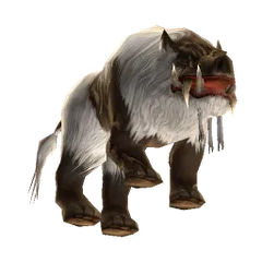 Scrofa