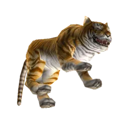 Tigris
