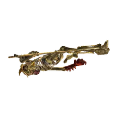 Sura-İskeleti 1