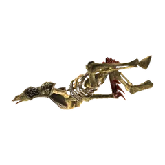 Sura-İskeleti 3