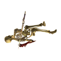 Sura-İskeleti 5